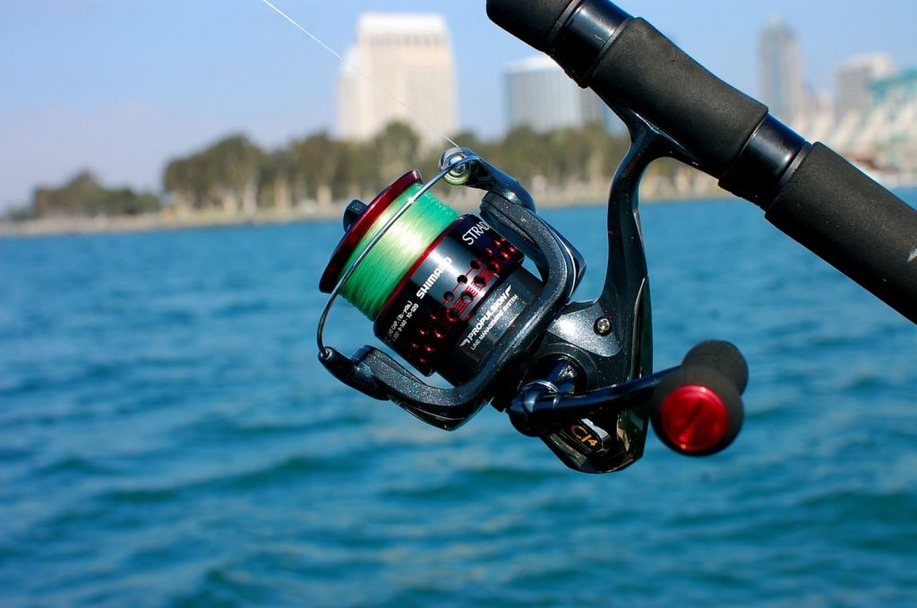 Top 10 Saltwater Spinning Reels for Inshore and Offshore Fishing