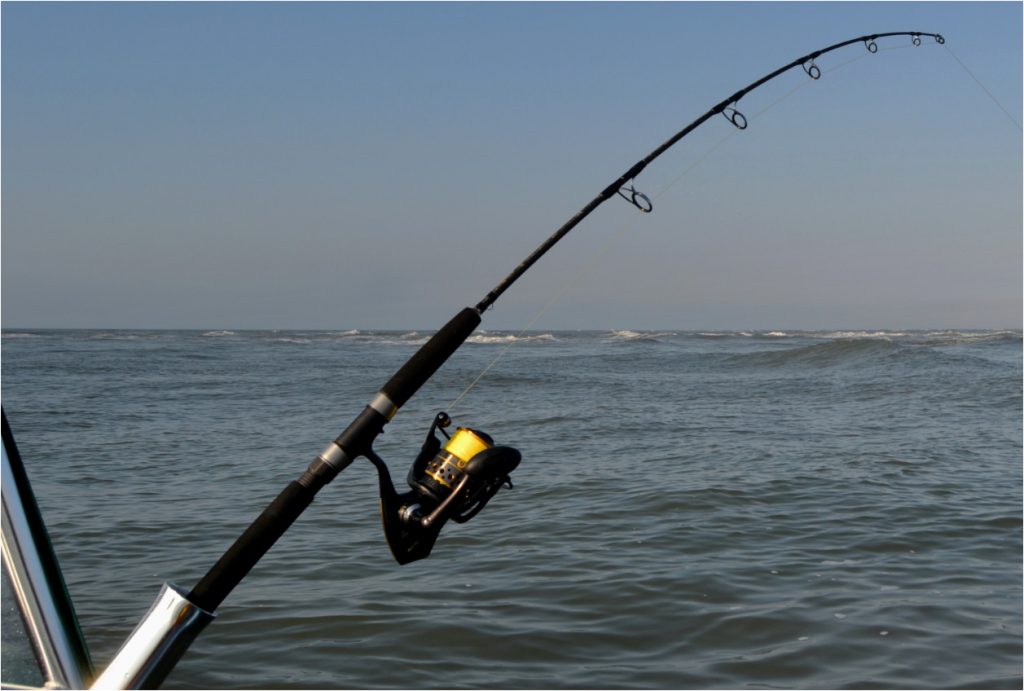 10 Best Saltwater Fishing Rods for an Awesome Fishing Experience