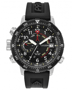 watch with analog compass