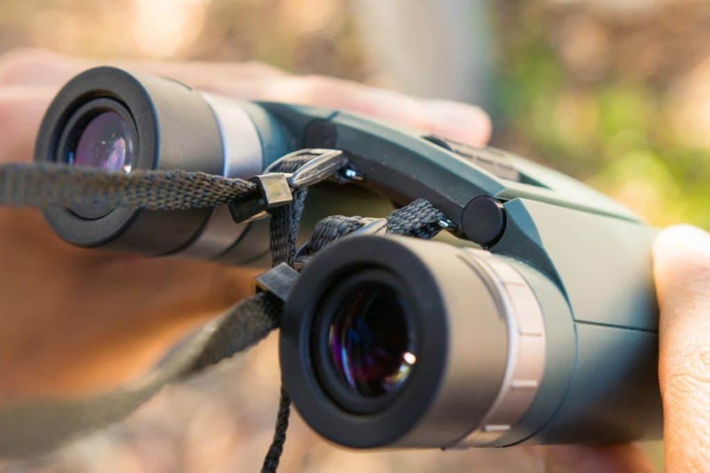 8 Awesome Compact Binoculars to Boost Your Outdoor Experience