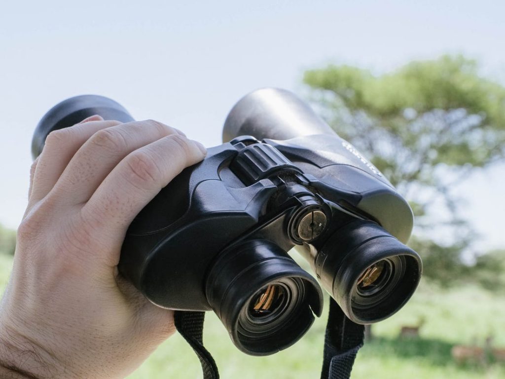 10 Best Binoculars for Safari – Enjoy Watching Wildlife!