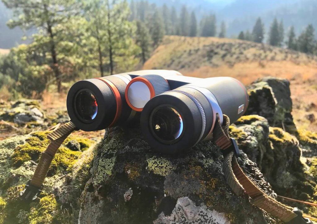 10 Best Binoculars for Hunting – Sharp Image in All Weather Conditions!
