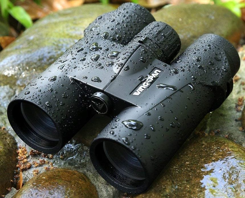 5 Great Binoculars for Wildlife Viewing - Reviews and Buying Guide
