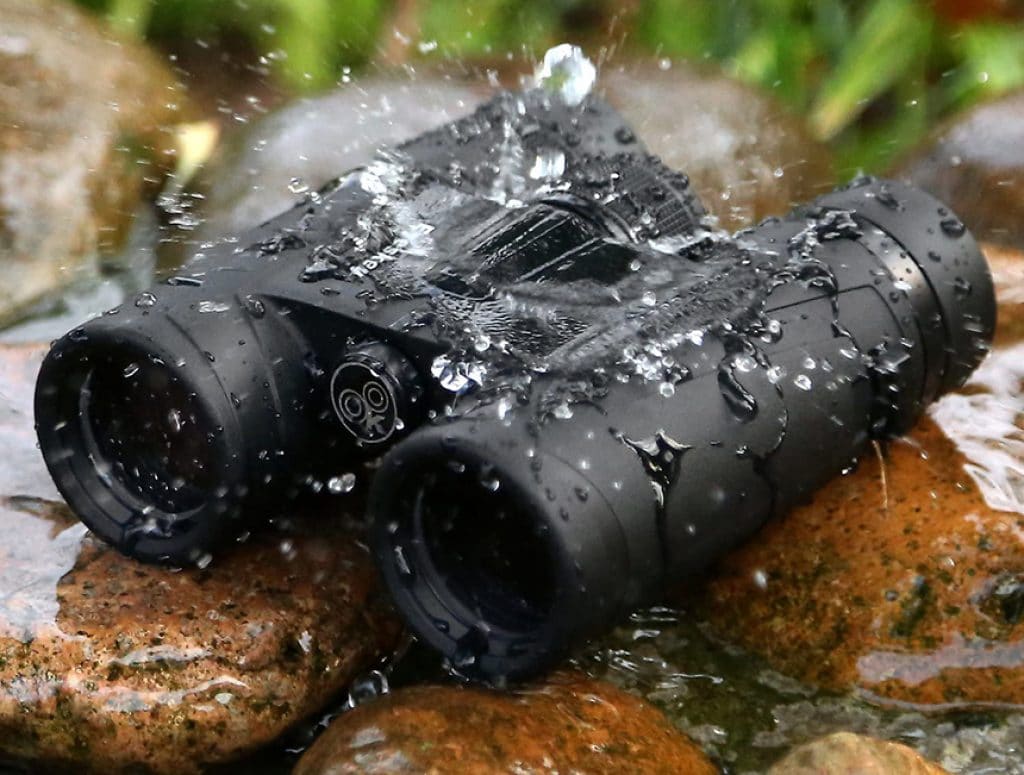 10 Best Binoculars under $100 – Explore the Nature with Proper Gear!